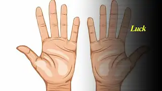 Astrology & Fingerprint Analysis: Unlocking Secrets of Your Destiny!